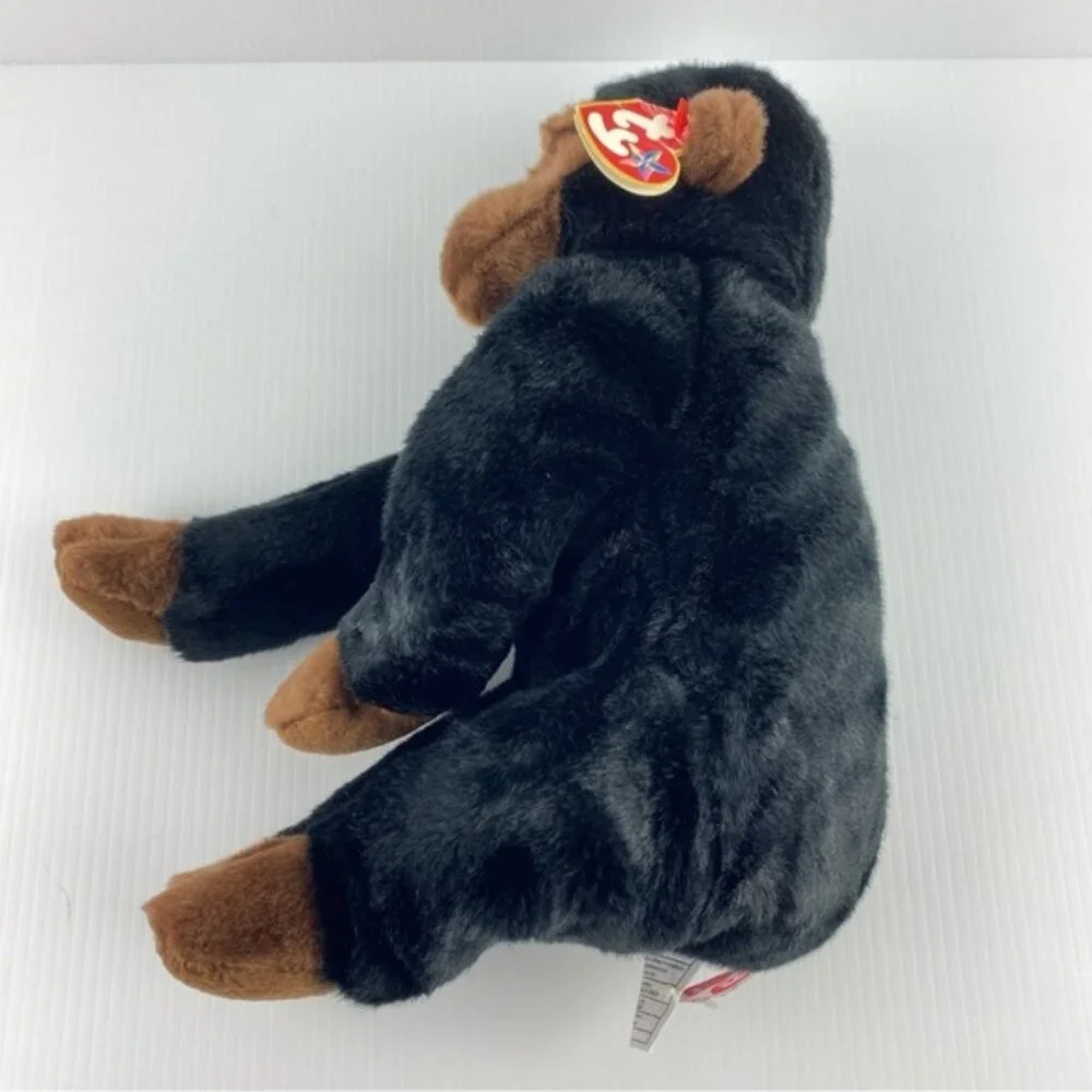 Ty Beanie Baby Congo Gorilla Plush Vintage 1999 Black Brown Monkey 10 inch - Picture 5 of 11